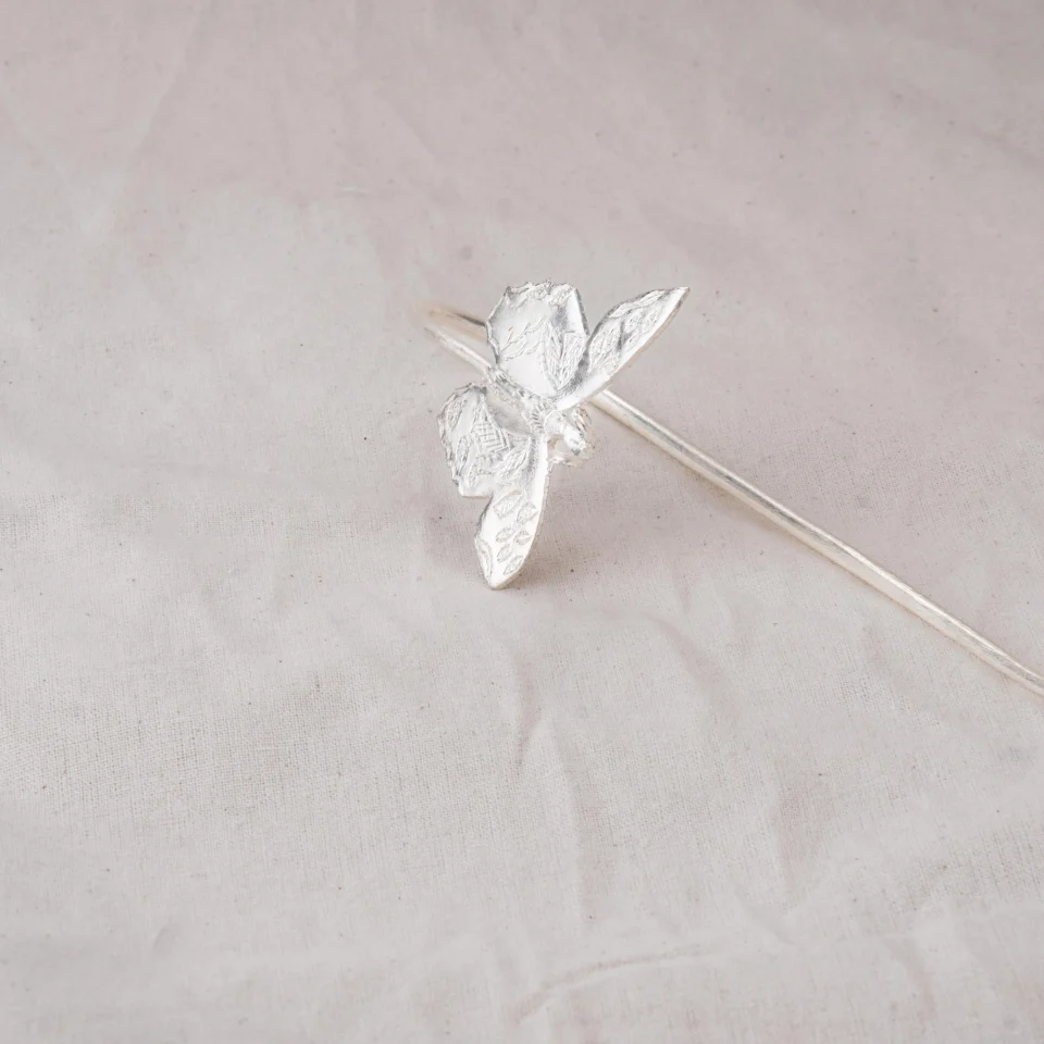 tram_cai_canh_buom_bac_0003